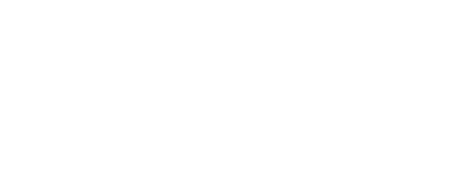 Logo bianco Hawkin dynamics